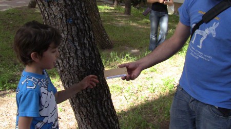 Primo censimento degli alberi